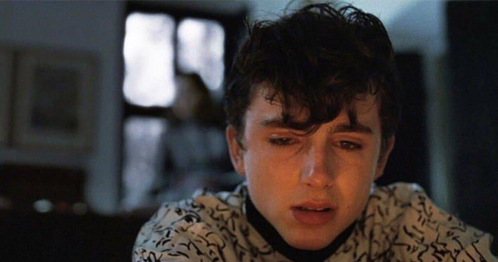 thimothée chalamet in call me by your name